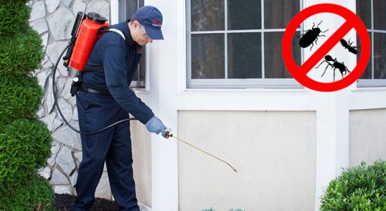 Mazıdağı Böcek ve Haşere İlaçlama böcek ilaçlama ve haşere kontrolü — ilaclama-tr.com